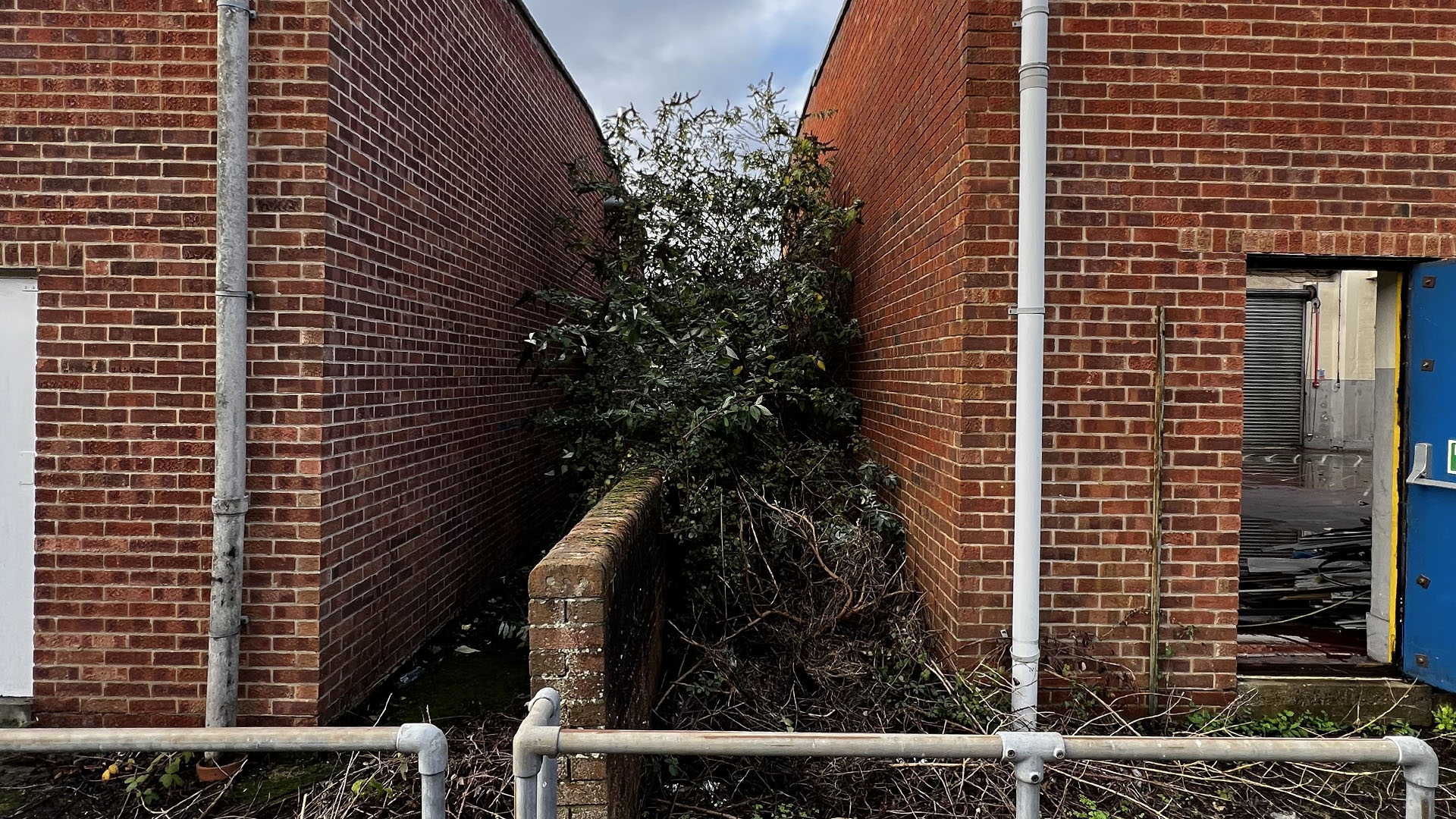 Who Should You Contact First — The Council, a Surveyor, or Your Neighbour Southend on Sea?